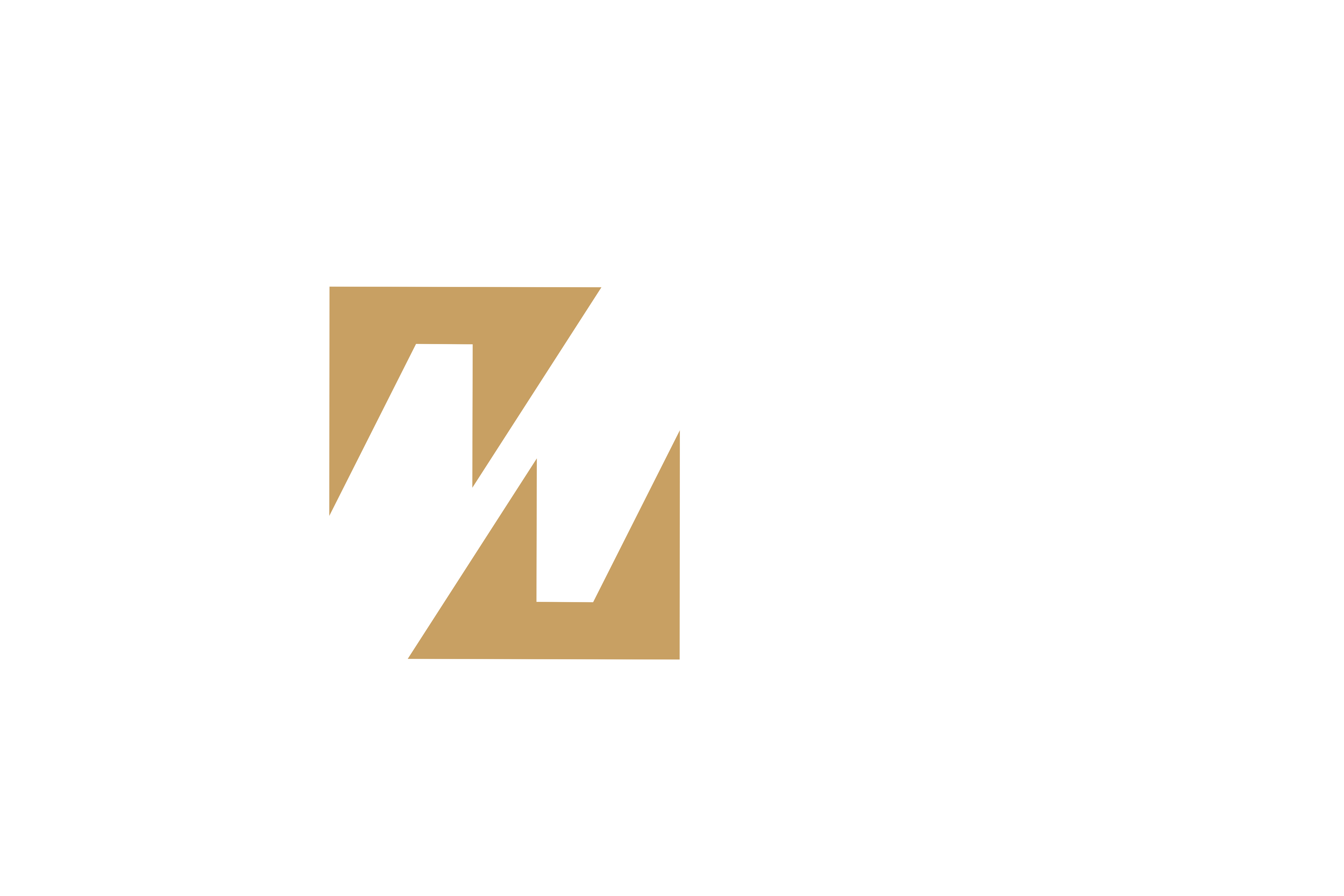 Muslim Will Logo